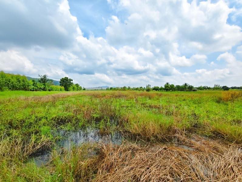 ที่ดินท่าม่วง กาญจนบุรี, Kanchanaburi, Rang Sali, Tha Muang, Kanchanaburi, , 9,962 sqm, Land For Sale, by The Best Property โอ็ต, 500658002 - DDproperty.com