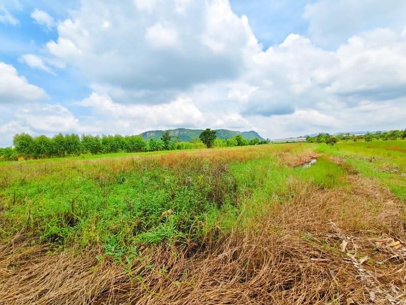 ที่ดินท่าม่วง กาญจนบุรี, Kanchanaburi, Rang Sali, Tha Muang, Kanchanaburi, , 9,962 sqm, Land For Sale, by The Best Property โอ็ต, 500658002 - DDproperty.com