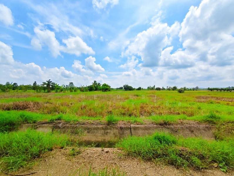 ที่ดินท่าม่วง กาญจนบุรี, กาญจนบุรี, รางสาลี่, ท่าม่วง, กาญจนบุรี, 9,962 ตร.ม., ที่ดิน ขาย, โดย The Best Property โอ็ต, 500658002 - DDproperty.com