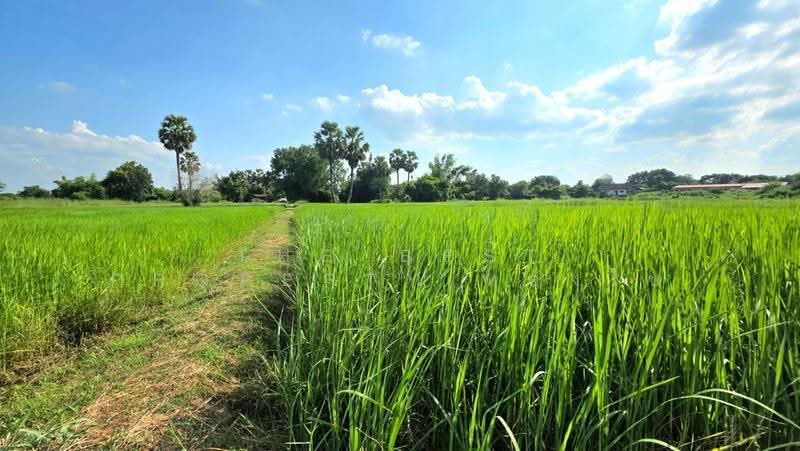 ที่ดินยางตลาด กาฬสินธุ์, Kalasin, Um Mao, Yang Talat, Kalasin, , 3,200 sqm, Land For Sale, by The Best Property ทองใบ, 500658071 - DDproperty.com