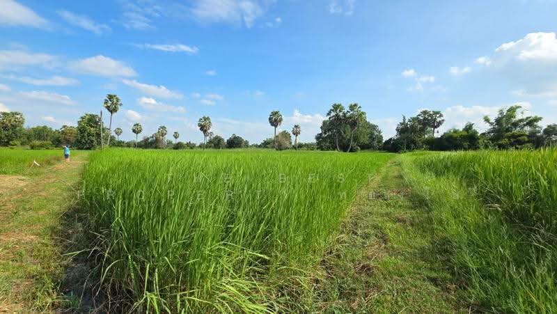 ที่ดินยางตลาด กาฬสินธุ์, Kalasin, Um Mao, Yang Talat, Kalasin, , 3,200 sqm, Land For Sale, by The Best Property ทองใบ, 500658071 - DDproperty.com