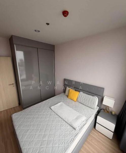 Skyrise Avenue Sukhumvit 64, Bangkok, 3 Soi Sukhumvit 64, Bang Chak, Phra Khanong, Bangkok, 2 Bedrooms, 45 sqm, Condo For Rent, by Pawanrat Panchawanon, 500658272 - DDproperty.com