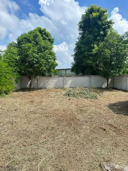 Modi Villa Bangna : โมดิ วิลล่า บางนา, สมุทรปราการ, ถนนบางนา-ตราด, บางเสาธง, สมุทรปราการ, 141 ตร.ม., บ้านแฝด ขาย, โดย ธัญรฎา ทองทรัพย์, 500659587 - DDproperty.com