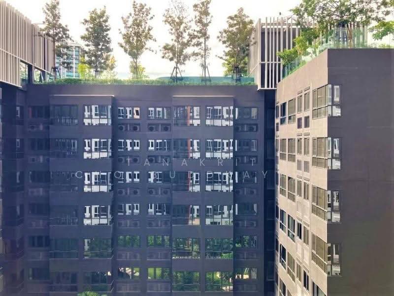 XT Huaikhwang, Bangkok, 244 Ratchadaphisek Road, Huai Khwang, Bangkok, 1 Bedroom, 28 sqm, Condo For Rent, by Tanakrit Chotbuddkayan, 500660282 - DDproperty.com