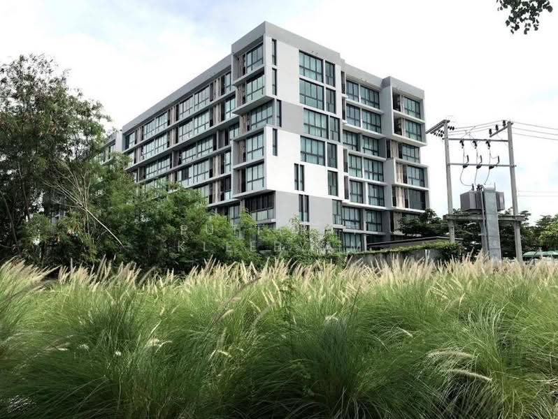 Connext Condo : คอนเนค คอนโด, ภูเก็ต, ถนนศักดิเดช ซอย 1, ตลาดเหนือ, เมืองภูเก็ต, ภูเก็ต, 67 ตร.ม., คอนโด ขาย, โดย Puttirat Kleebyam, 500660344 - DDproperty.com