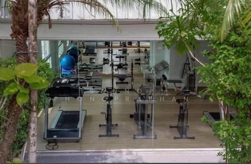 Plus 67, Bangkok, Soi Sukhumvit 67, Phra Kanong Nua, Watthana, Bangkok, 1 Bedroom, 49 sqm, Condo For Rent, by Sannop Phongpraphan, 500660765 - DDproperty.com