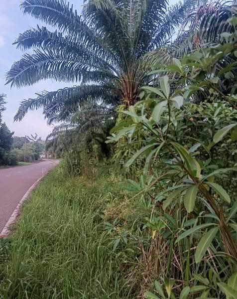 ที่ดินเซกา บึงกาฬ, Bueng Kan, Tha Sa-at, Seka, Bueng Kan, , 20,824 sqm, Land For Sale, by The Best Property ยูมิโกะ, 500661206 - DDproperty.com
