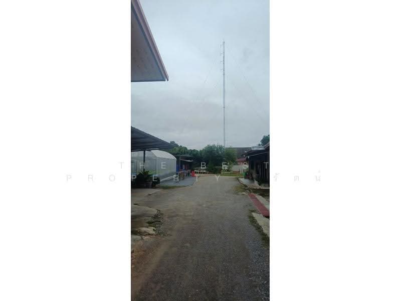บ้านเดี่ยวลี้ ลำพูน, ลำพูน, ลี้, ลำพูน, 150 ตร.ม., บ้านเดี่ยว ขาย, โดย The Best Property รัตน์, 500662236 - DDproperty.com