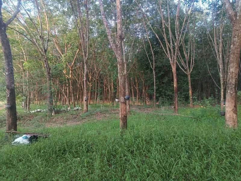 ที่ดินเซกา บึงกาฬ, บึงกาฬ, ท่าสะอาด, เซกา, บึงกาฬ, 24,932 ตร.ม., ที่ดิน ขาย, โดย The Best Property ยูมิโกะ, 500662434 - DDproperty.com