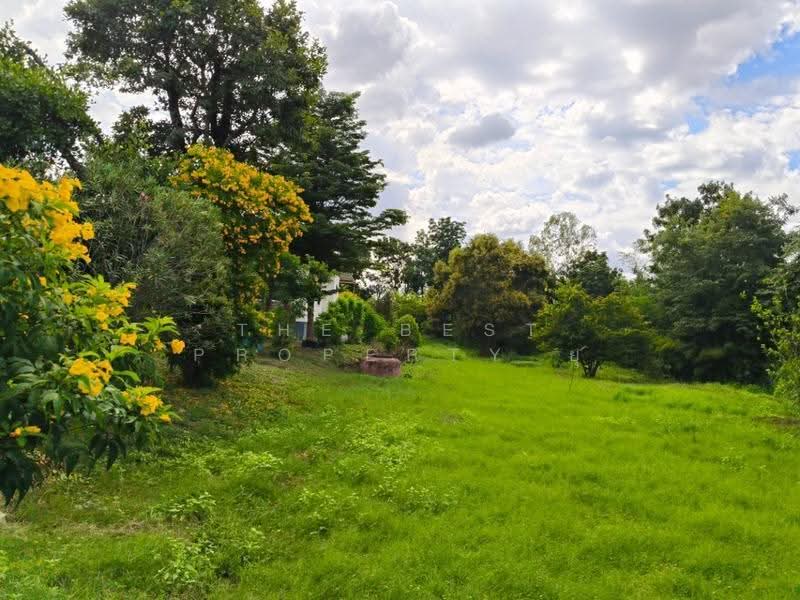 บ้านเดี่ยวพร้อมที่ดินปอภาร ร้อยเอ็ด, Roi Et, Po Pharn, Muang Roi Et, Roi Et, 2 Bedrooms, 100 sqm, Single Detached House For Sale, by The Best Property ยุ, 500662579 - DDproperty.com