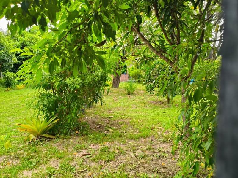 บ้านเดี่ยวพร้อมที่ดินปอภาร ร้อยเอ็ด, Roi Et, Po Pharn, Muang Roi Et, Roi Et, 2 Bedrooms, 100 sqm, Single Detached House For Sale, by The Best Property ยุ, 500662579 - DDproperty.com