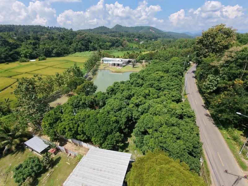 บ้านเดี่ยวพร้อมที่ดินแม่แตง เชียงใหม่, เชียงใหม่, ขี้เหล็ก, แม่แตง, เชียงใหม่, 600 ตร.ม., บ้านเดี่ยว ขาย, โดย The Best Property บอย, 500662632 - DDproperty.com