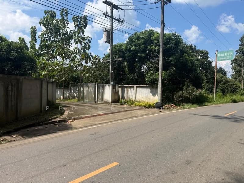 บ้านเดี่ยวพร้อมที่ดินแม่แตง เชียงใหม่, Chiang Mai, Khi Lek, Mae Taeng, Chiang Mai, 4 Bedrooms, 600 sqm, Single Detached House For Sale, by The Best Property บอย, 500662632 - DDproperty.com