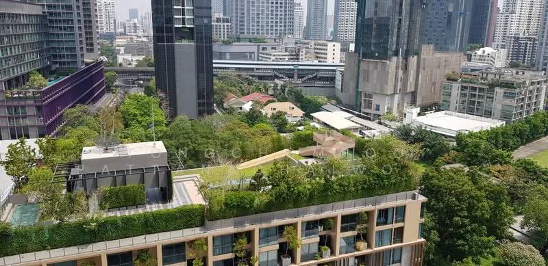 Rhythm Sukhumvit 36-38, Bangkok, 55 Soi Sukhumvit 36, Sukhumvit Road, Phra Kanong, Khlong Toei, Bangkok, 1 Bedroom, 24 sqm, Condo For Rent, by Tongchompoo Pattanachaiwongkoon, 500664531 - DDproperty.com