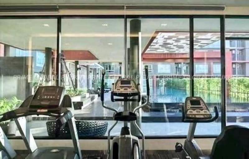 Dcondo Kathu-Patong, Phuket, Wichit Songkhram Road, Kathu, Phuket, 1 Bedroom, 30 sqm, Condo For Rent, by fai prime, 500665219 - DDproperty.com