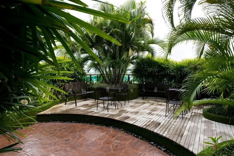 The Shine Condominium, Chiang Mai, 274 Charoen Prathet Rd, Chang Klan, Muang Chiang Mai, Chiang Mai, 1 Bedroom, 50 sqm, Condo For Rent, by ธีรชาติ จงรักศักดิ์, 500665239 - DDproperty.com