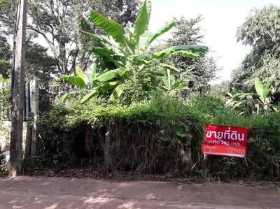 ขาย - ขายที่ดินเปล่าติดถนนคอนกรีต เข้า-ออกสะดวก มีน้ำประปาและไฟฟ้าเข้าถึง, สกลนคร
