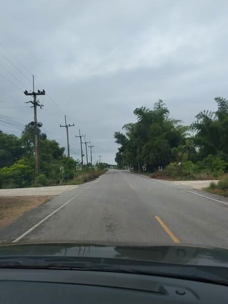 ขายที่ดินชัยนาท 25 ไร่ 3 งาน 52 ตร.ว. อำเภอวัดสิงห์ ทำเลดี ติดถนน 2 ด้าน โฉนดครุฑแดง, ชัยนาท, หนองขุ่น, วัดสิงห์, ชัยนาท, 41,408 ตร.ม., ที่ดิน ขาย, โดย คุณชาญชัย, 500665620 - DDproperty.com