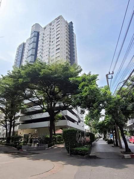 City Home Sukhumvit : ซิตี้โฮม สุขุมวิท, กรุงเทพ, ถนนอุดมสุข, บางนา, กรุงเทพ, 50 ตร.ม., คอนโด ให้เช่า, โดย นัทยาพร พึ่มกุล (เบนซ์), 500665811 - DDproperty.com