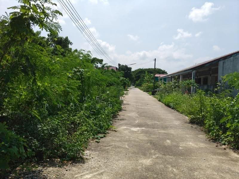 ที่ดินปากนคร นครศรีธรรมราช, Nakhon Si Thammarat, Pak Nakhon, Muang Nakhon Sri Thammarat, Nakhon Si Thammarat, , 167 sqm, Land For Sale, by The Best Property พริก, 500665998 - DDproperty.com