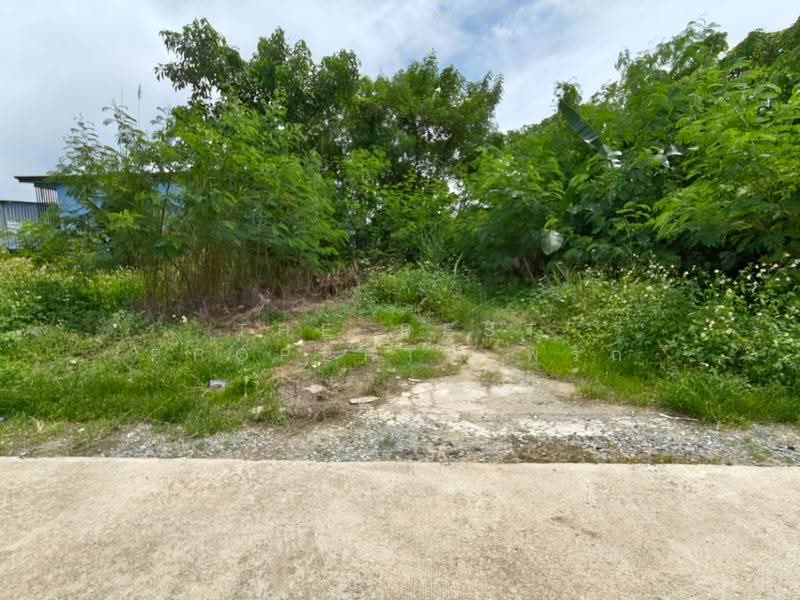 ที่ดินปากนคร นครศรีธรรมราช, Nakhon Si Thammarat, Pak Nakhon, Muang Nakhon Sri Thammarat, Nakhon Si Thammarat, , 167 sqm, Land For Sale, by The Best Property พริก, 500665998 - DDproperty.com