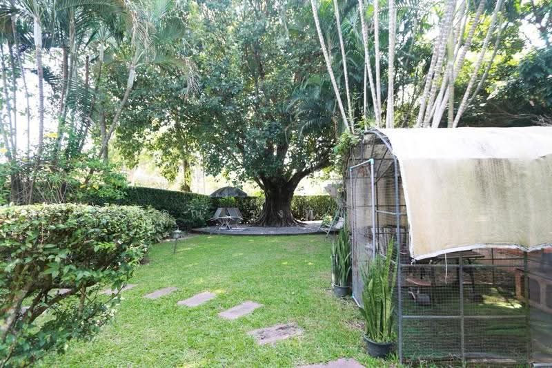 บ้าน 5 ห้องนอนสำหรับขายในโครงการวังตาล หางดง, เชียงใหม่, สันผักหวาน, หางดง, เชียงใหม่, 250 ตร.ม., บ้านเดี่ยว ขาย, โดย คุณ รุ่งทิพย์, 500667468 - DDproperty.com