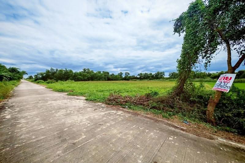 ซอยคลองสาม 14/3, ปทุมธานี, คลองสาม, คลองหลวง, ปทุมธานี, 3,200 ตร.ม., ที่ดิน ขาย, โดย คุณเจษ, 500667922 - DDproperty.com