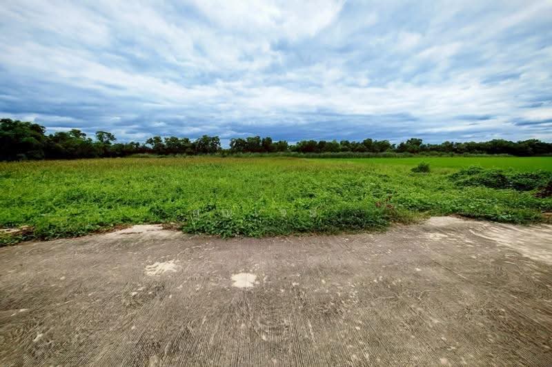 ซอยคลองสาม 14/3, Pathum Thani, Khlong Sam, Khlong Luang, Pathum Thani, , 3,200 sqm, Land For Sale, by คุณเจษ, 500667922 - DDproperty.com
