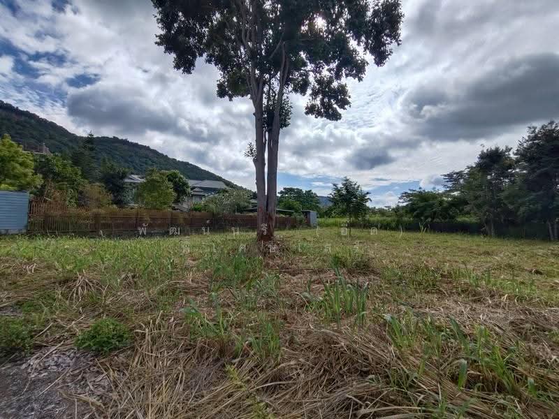 หมูสี, Nakhon Ratchasima, Mu Si, Pak Chong, Nakhon Ratchasima, , 1,736 sqm, Land For Sale, by พัฒน์นรี (อี๊ด) พิเศษเสรี, 500668143 - DDproperty.com