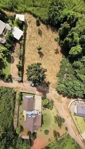 หมูสี, Nakhon Ratchasima, Mu Si, Pak Chong, Nakhon Ratchasima, , 1,736 sqm, Land For Sale, by พัฒน์นรี (อี๊ด) พิเศษเสรี, 500668143 - DDproperty.com