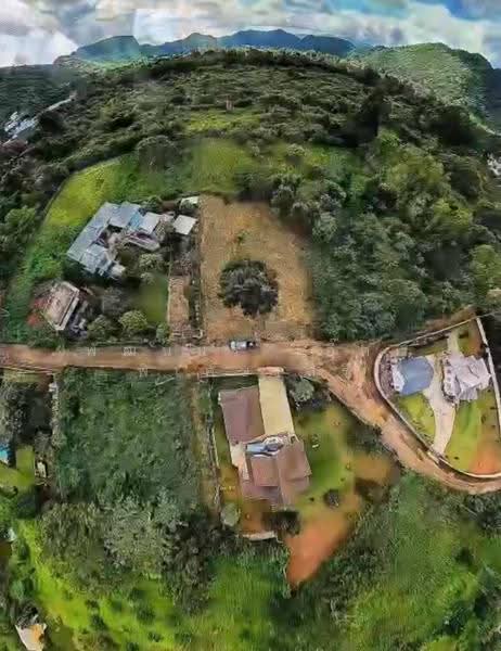 หมูสี, Nakhon Ratchasima, Mu Si, Pak Chong, Nakhon Ratchasima, , 1,736 sqm, Land For Sale, by พัฒน์นรี (อี๊ด) พิเศษเสรี, 500668143 - DDproperty.com