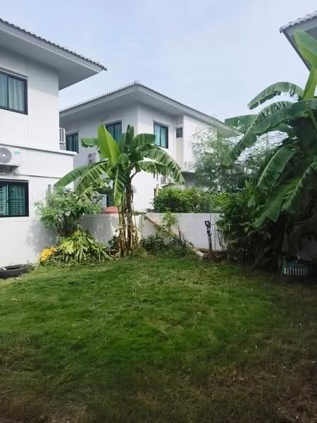 มายกรีน บางสมัคร, Chachoengsao, Bang Samak, Bang Pakong, Chachoengsao, 3 Bedrooms, 130 sqm, Single Detached House For Sale, by The Best Property นิว, 500668442 - DDproperty.com