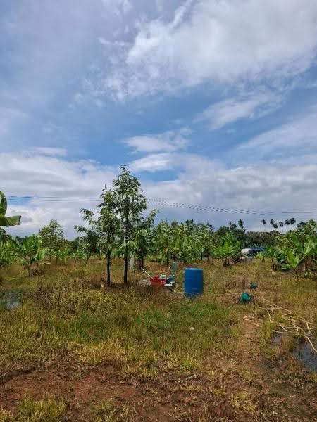 ที่ดินนายายอาม จันทบุรี, จันทบุรี, วังใหม่, นายายอาม, จันทบุรี, 5,600 ตร.ม., ที่ดิน ขาย, โดย The Best Property หยก, 500670907 - DDproperty.com