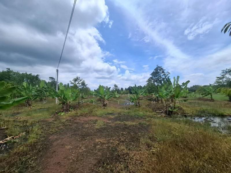 ที่ดินนายายอาม จันทบุรี, จันทบุรี, วังใหม่, นายายอาม, จันทบุรี, 5,600 ตร.ม., ที่ดิน ขาย, โดย The Best Property หยก, 500670907 - DDproperty.com