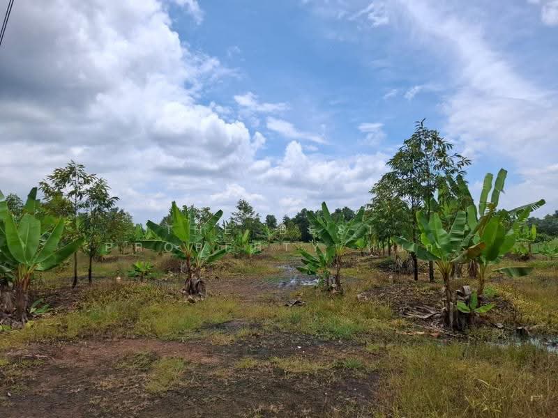 ที่ดินนายายอาม จันทบุรี, จันทบุรี, วังใหม่, นายายอาม, จันทบุรี, 5,600 ตร.ม., ที่ดิน ขาย, โดย The Best Property หยก, 500670907 - DDproperty.com