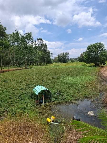 ที่ดินนายายอาม จันทบุรี, Chanthaburi, Wang Mai, Na Yai Am, Chanthaburi, , 5,600 sqm, Land For Sale, by The Best Property หยก, 500670907 - DDproperty.com