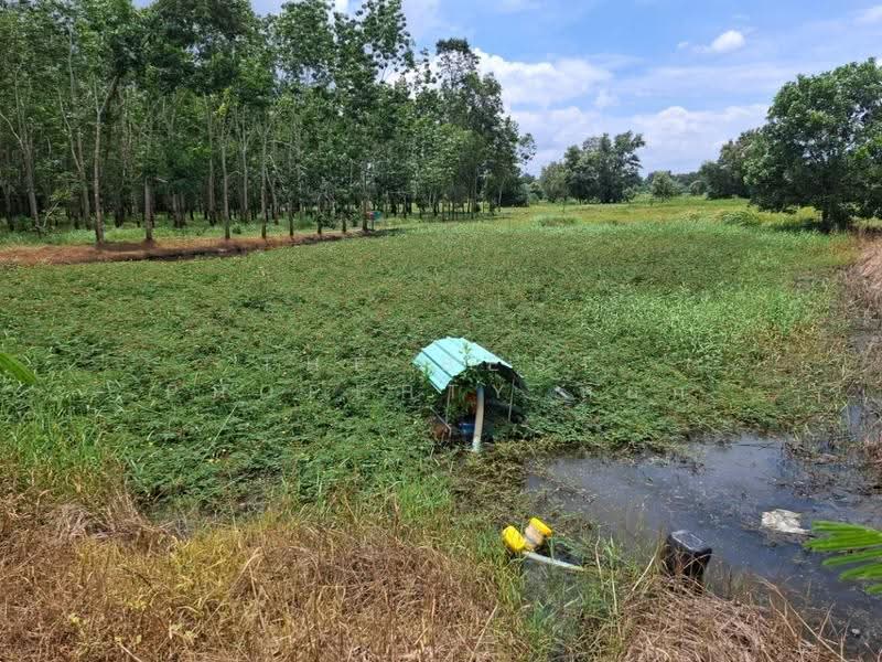 ที่ดินนายายอาม จันทบุรี, จันทบุรี, วังใหม่, นายายอาม, จันทบุรี, 5,600 ตร.ม., ที่ดิน ขาย, โดย The Best Property หยก, 500670907 - DDproperty.com