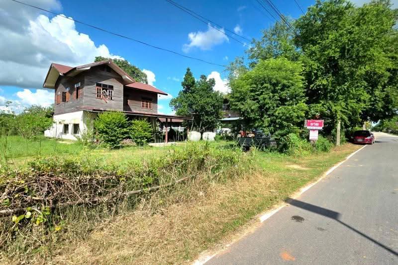 ที่ดินบรบือ มหาสารคาม, Maha Sarakham, don Ngua, Borabu, Maha Sarakham, , 4,594 sqm, Land For Sale, by The Best Property  ทองใบ, 500673885 - DDproperty.com