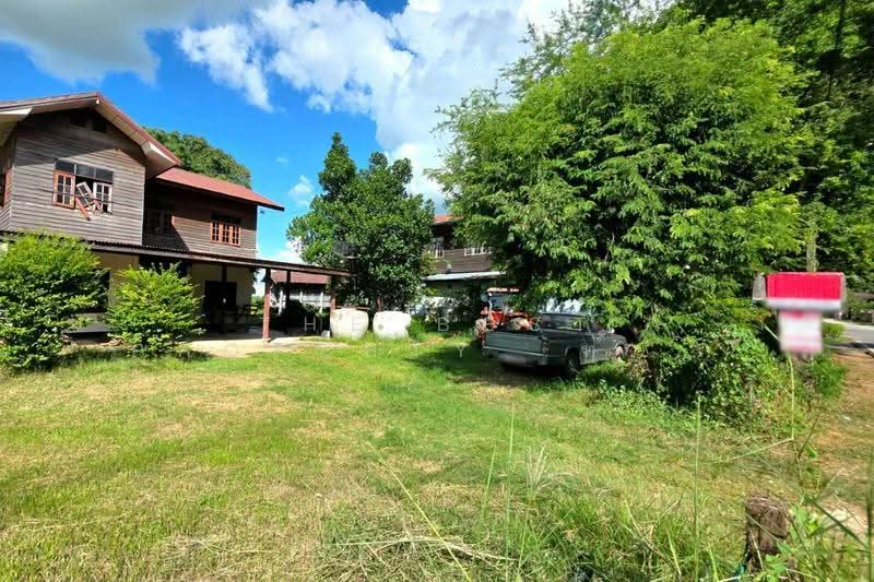 ที่ดินบรบือ มหาสารคาม, Maha Sarakham, don Ngua, Borabu, Maha Sarakham, , 4,594 sqm, Land For Sale, by The Best Property  ทองใบ, 500673885 - DDproperty.com
