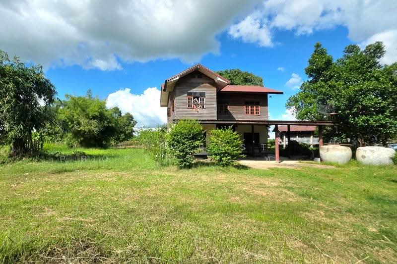 ที่ดินบรบือ มหาสารคาม, Maha Sarakham, don Ngua, Borabu, Maha Sarakham, , 4,594 sqm, Land For Sale, by The Best Property  ทองใบ, 500673885 - DDproperty.com