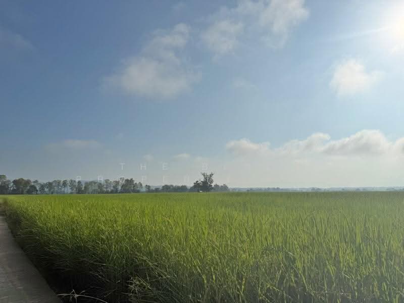 ที่ดินเชียงคำ พะเยา, Phayao, Ang Thong, Chiang Kham, Phayao, , 14,192 sqm, Land For Sale, by The Best Property แอ้ม, 500673897 - DDproperty.com
