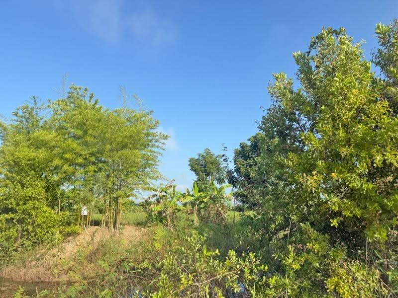ที่ดินเชียงคำ พะเยา, Phayao, Ang Thong, Chiang Kham, Phayao, , 14,192 sqm, Land For Sale, by The Best Property แอ้ม, 500673897 - DDproperty.com