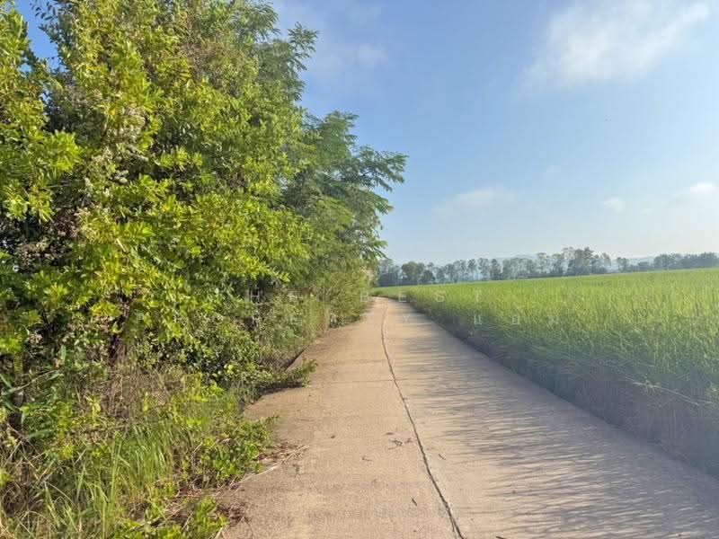 ที่ดินเชียงคำ พะเยา, Phayao, Ang Thong, Chiang Kham, Phayao, , 14,192 sqm, Land For Sale, by The Best Property แอ้ม, 500673897 - DDproperty.com