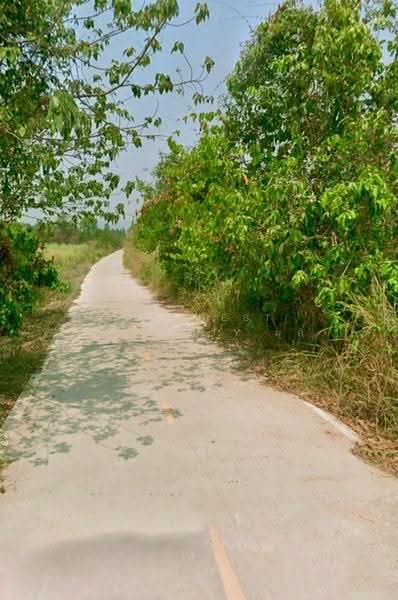 ที่ดินสวนผึ้ง ราชบุรี, Ratchaburi, Tha Khoei, Suan Phung, Ratchaburi, , 540 sqm, Land For Sale, by The Best Property มุก, 500673941 - DDproperty.com