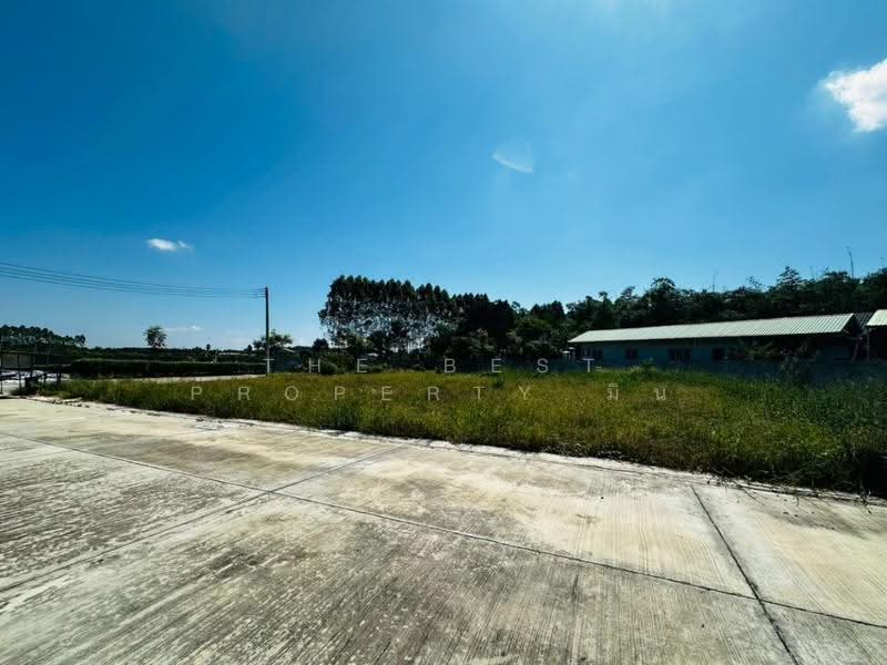 ที่ดินเกาะจันทร์ ชลบุรี, Chon Buri (Pattaya), Tha Bunmi, Ko Chan, Chon Buri (Pattaya), , 774 sqm, Land For Sale, by The Best Property มิน, 500674230 - DDproperty.com