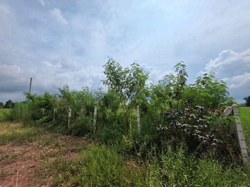 ที่ดินดอนตะโก ราชบุรี, ราชบุรี, ดอนตะโก, เมืองราชบุรี, ราชบุรี, 2,078 ตร.ม., ที่ดิน ขาย, โดย The Best Property แจ๊กกี้, 500674290 - DDproperty.com