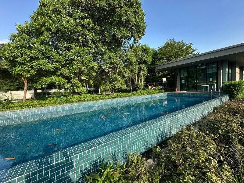 Pruksa Lite Lox Rattanathibet, Nonthaburi, Sao Thong Hin, Bang Yai, Nonthaburi, 3 Bedrooms, 110 sqm, Townhouse For Sale, by คุณ อนาคต ( อนาคต ), 500674500 - DDproperty.com