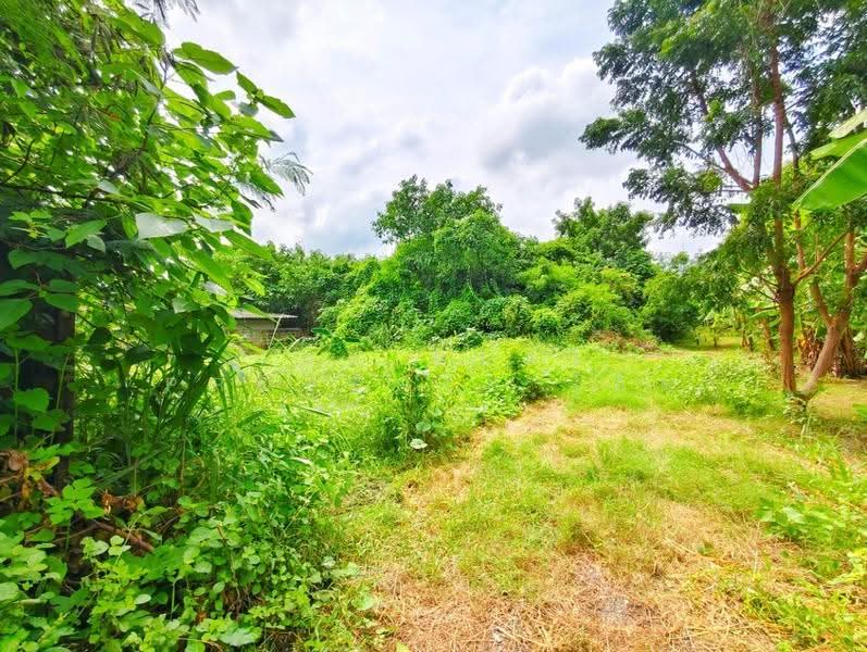 ที่ดินท่าม่วง กาญจนบุรี, Kanchanaburi, Tha Muang, Kanchanaburi, , 275 sqm, Land For Sale, by The Best Property โอ็ต, 500675534 - DDproperty.com