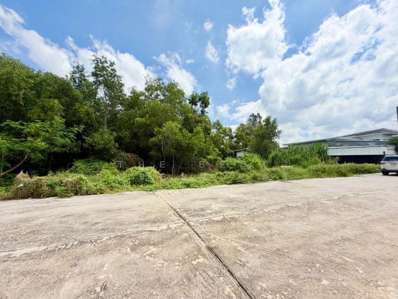 ที่ดินลาดหลุมแก้ว ปทุมธานี, ปทุมธานี, หน้าไม้, ลาดหลุมแก้ว, ปทุมธานี, 1,485 ตร.ม., ที่ดิน ขาย, โดย The Best Property ครีม, 500675585 - DDproperty.com
