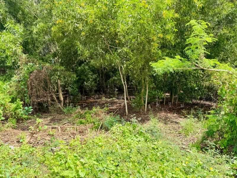 ที่ดินลาดหลุมแก้ว ปทุมธานี, Pathum Thani, Na-Mai, Lat Lum Kaeo, Pathum Thani, , 1,485 sqm, Land For Sale, by The Best Property ครีม, 500675585 - DDproperty.com